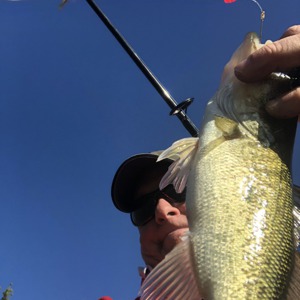 Image #5637 from GreatAnglers.com Image #5637 from GreatAnglers.com