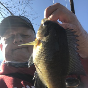 Image #5638 from GreatAnglers.com Image #5638 from GreatAnglers.com