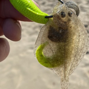 Image #5663 from GreatAnglers.com Image #5663 from GreatAnglers.com