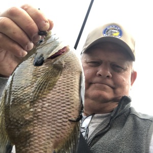 Image #5675 from GreatAnglers.com Image #5675 from GreatAnglers.com