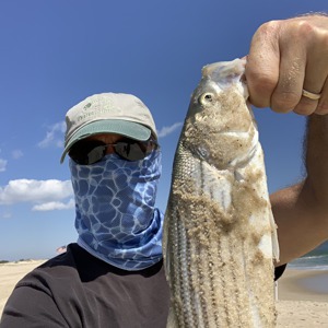 Image #5726 from GreatAnglers.com Image #5726 from GreatAnglers.com