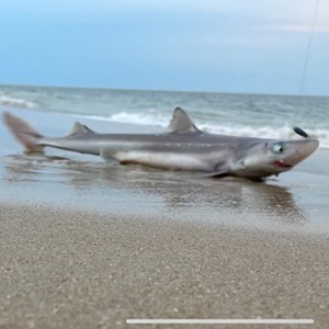 Image #5806 from GreatAnglers.com Image #5806 from GreatAnglers.com