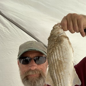 Image #6053 from GreatAnglers.com Image #6053 from GreatAnglers.com