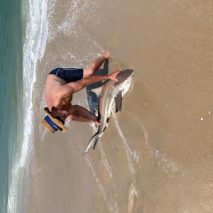 Image #6087 from GreatAnglers.com Image #6087 from GreatAnglers.com