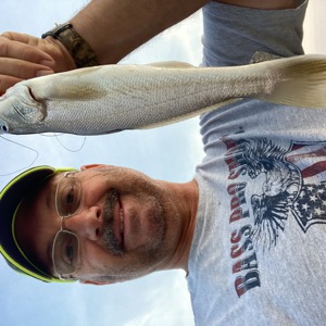 Image #6094 from GreatAnglers.com Image #6094 from GreatAnglers.com