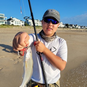 Image #6167 from GreatAnglers.com Image #6167 from GreatAnglers.com