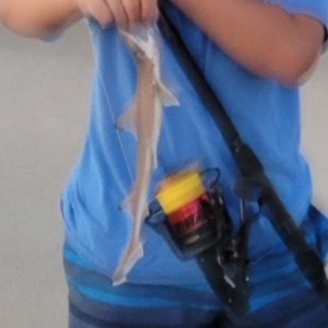 Image #6169 from GreatAnglers.com Image #6169 from GreatAnglers.com
