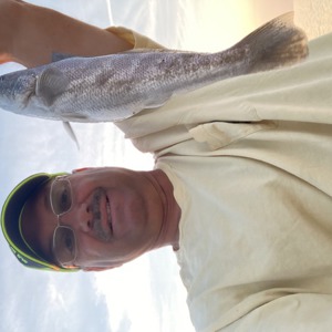 Image #6208 from GreatAnglers.com Image #6208 from GreatAnglers.com