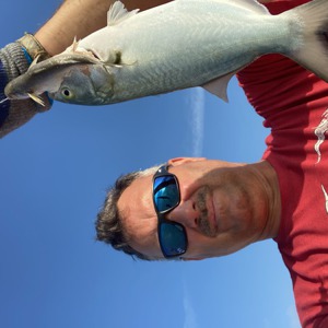 Image #6223 from GreatAnglers.com Image #6223 from GreatAnglers.com