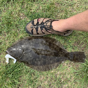 Image #6228 from GreatAnglers.com Image #6228 from GreatAnglers.com