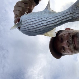 Image #6267 from GreatAnglers.com Image #6267 from GreatAnglers.com