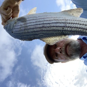 Image #6269 from GreatAnglers.com Image #6269 from GreatAnglers.com