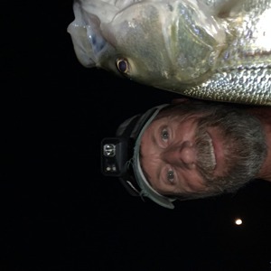 Image #6311 from GreatAnglers.com Image #6311 from GreatAnglers.com