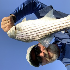 Image #6313 from GreatAnglers.com Image #6313 from GreatAnglers.com