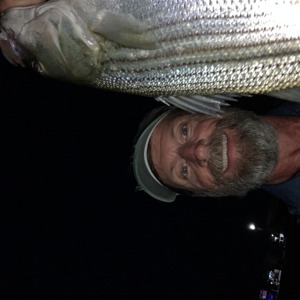 Image #6322 from GreatAnglers.com Image #6322 from GreatAnglers.com