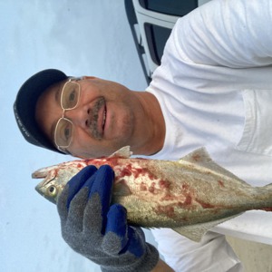 Image #6387 from GreatAnglers.com Image #6387 from GreatAnglers.com
