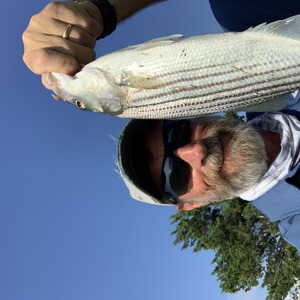 Image #6431 from GreatAnglers.com Image #6431 from GreatAnglers.com