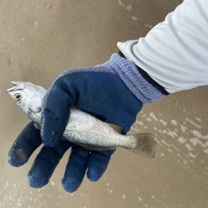 Image #6538 from GreatAnglers.com Image #6538 from GreatAnglers.com
