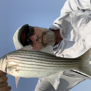 Image #6563 from GreatAnglers.com Image #6563 from GreatAnglers.com