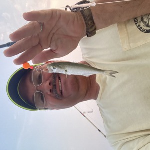 Image #6568 from GreatAnglers.com Image #6568 from GreatAnglers.com