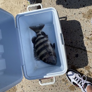 Image #6589 from GreatAnglers.com Image #6589 from GreatAnglers.com