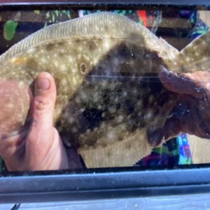 Image #6655 from GreatAnglers.com Image #6655 from GreatAnglers.com