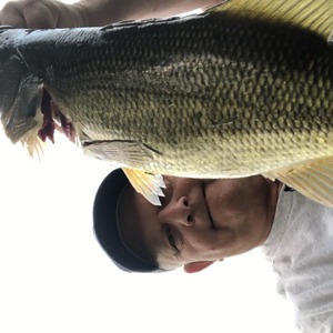 Image #6671 from GreatAnglers.com Image #6671 from GreatAnglers.com
