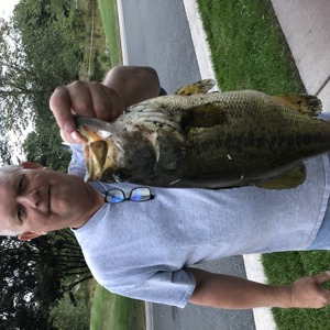 Image #6678 from GreatAnglers.com Image #6678 from GreatAnglers.com