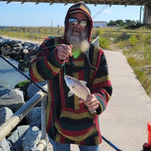 Image #6697 from GreatAnglers.com Image #6697 from GreatAnglers.com