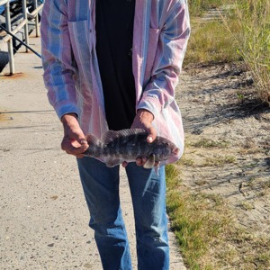 Image #6701 from GreatAnglers.com Image #6701 from GreatAnglers.com