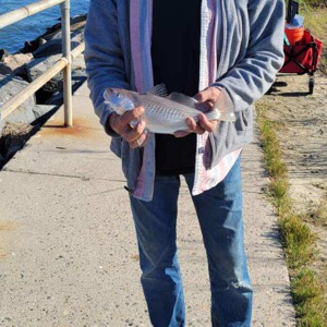 Image #6702 from GreatAnglers.com Image #6702 from GreatAnglers.com