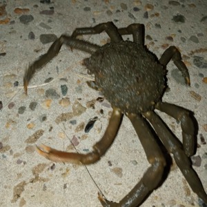 Image #6704 from GreatAnglers.com Image #6704 from GreatAnglers.com