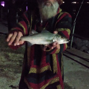 Image #6705 from GreatAnglers.com Image #6705 from GreatAnglers.com