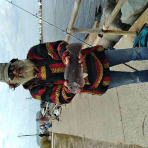 Image #6801 from GreatAnglers.com Image #6801 from GreatAnglers.com