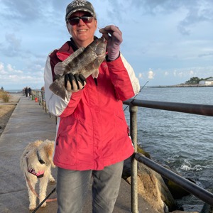 Image #6833 from GreatAnglers.com Image #6833 from GreatAnglers.com