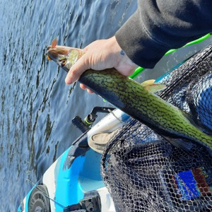 Image #6995 from GreatAnglers.com Image #6995 from GreatAnglers.com
