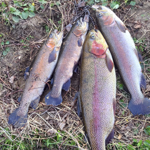 Image #6999 from GreatAnglers.com Image #6999 from GreatAnglers.com