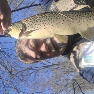 Image #7015 from GreatAnglers.com Image #7015 from GreatAnglers.com
