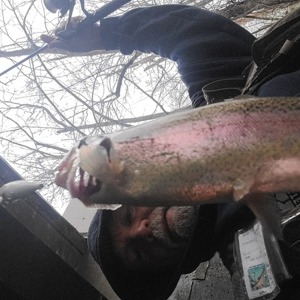 Image #7017 from GreatAnglers.com Image #7017 from GreatAnglers.com