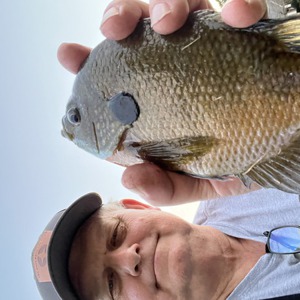 Image #7031 from GreatAnglers.com Image #7031 from GreatAnglers.com