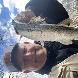 Image #7051 from GreatAnglers.com Image #7051 from GreatAnglers.com