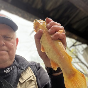 Image #7054 from GreatAnglers.com Image #7054 from GreatAnglers.com