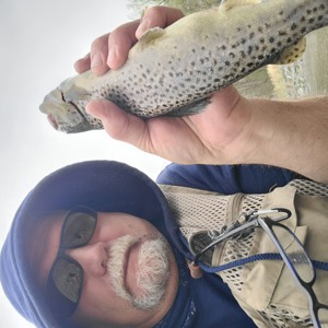 Image #7070 from GreatAnglers.com Image #7070 from GreatAnglers.com