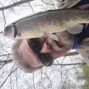 Image #7074 from GreatAnglers.com Image #7074 from GreatAnglers.com