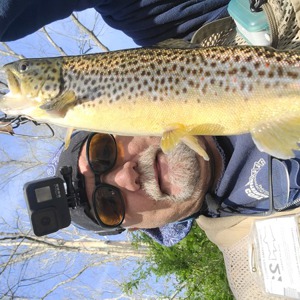 Image #7081 from GreatAnglers.com Image #7081 from GreatAnglers.com