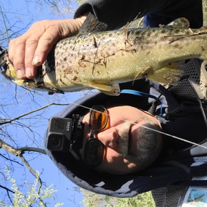 Image #7085 from GreatAnglers.com Image #7085 from GreatAnglers.com