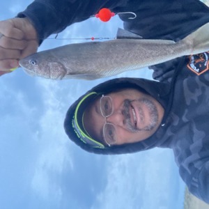 Image #7256 from GreatAnglers.com Image #7256 from GreatAnglers.com