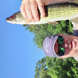 Image #7288 from GreatAnglers.com Image #7288 from GreatAnglers.com