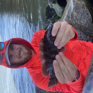 Image #7320 from GreatAnglers.com Image #7320 from GreatAnglers.com