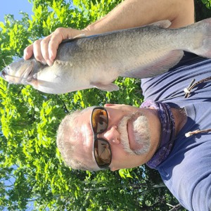 Image #7326 from GreatAnglers.com Image #7326 from GreatAnglers.com